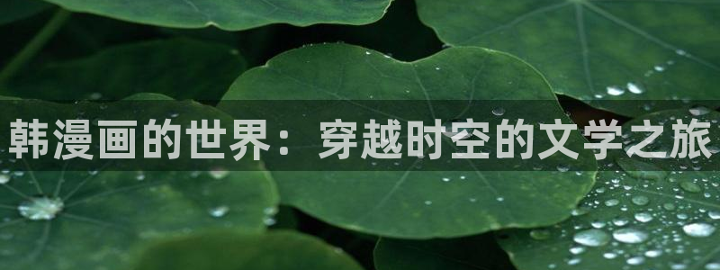 包子漫画入口页面